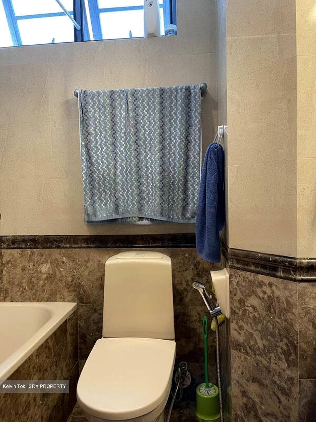 Sanctuary Green (D15), Condominium #479485661